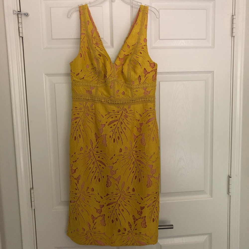 Maeve Gardenia Lace Dress